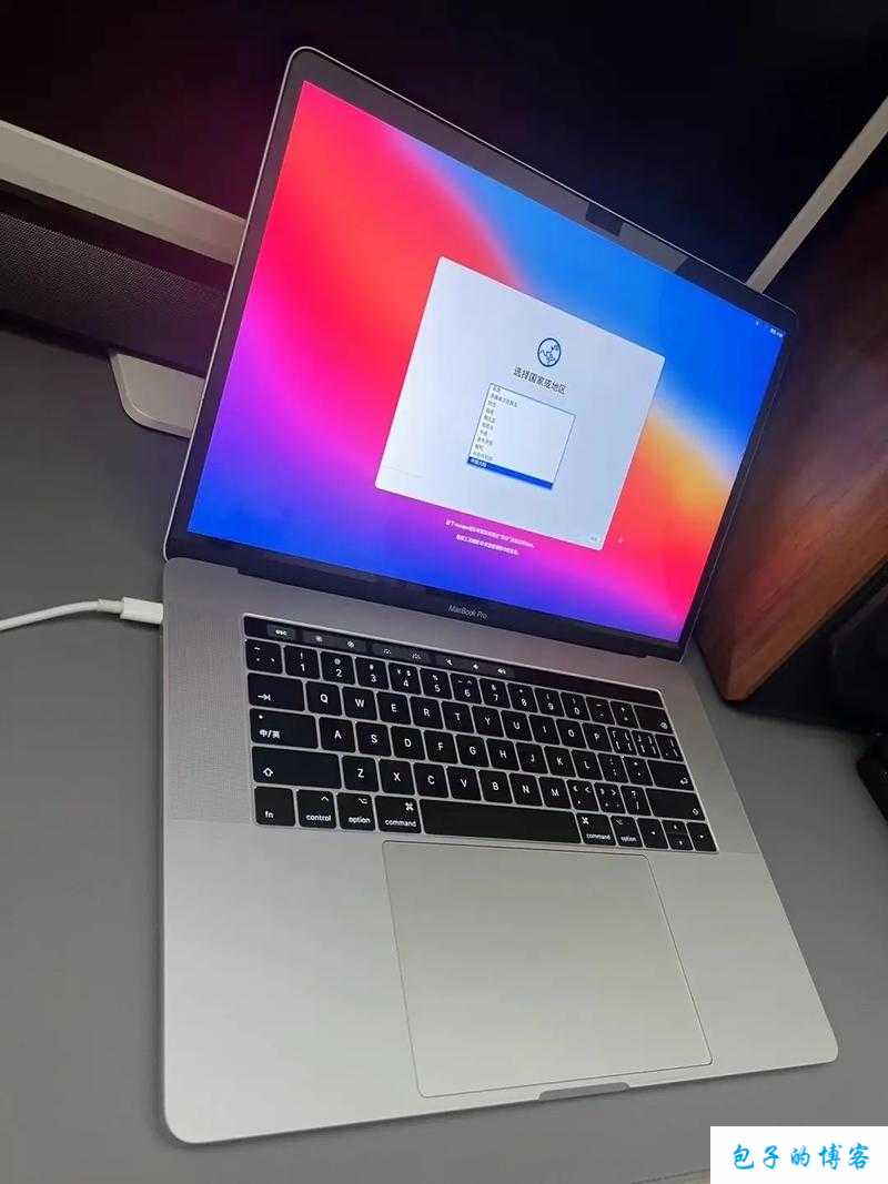 19 岁 macbookpro 欧美：青春与科技的碰撞