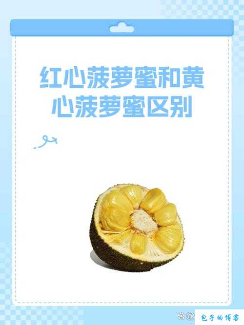 菠萝蜜视频网站：探索无限精彩内容