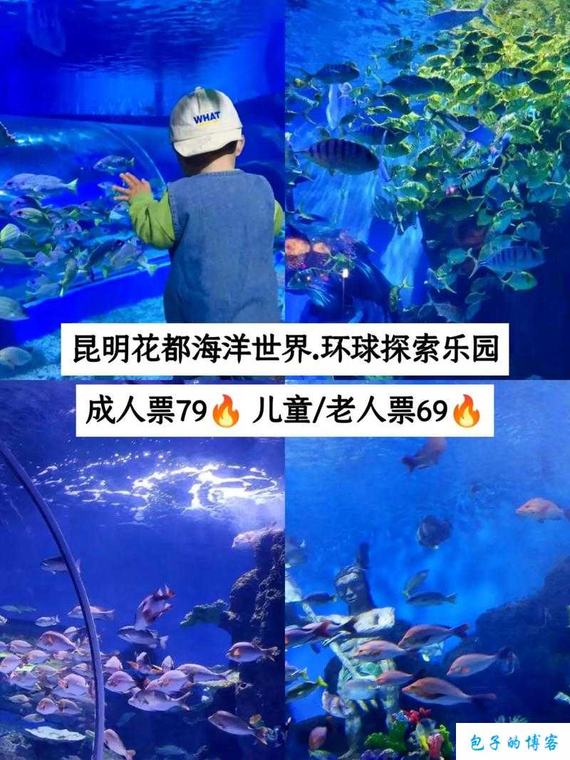 怡春院：探索成人娱乐新体验