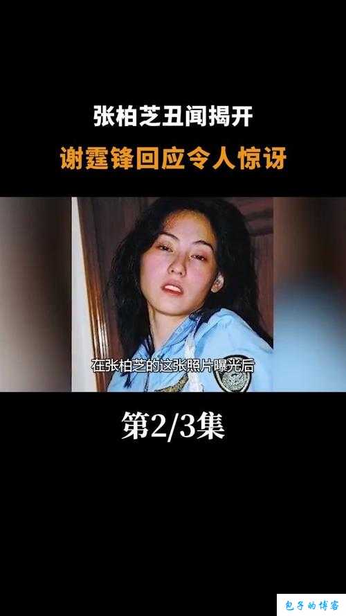 张柏芝XXXXXHD96：揭秘她的传奇人生与魅力光环