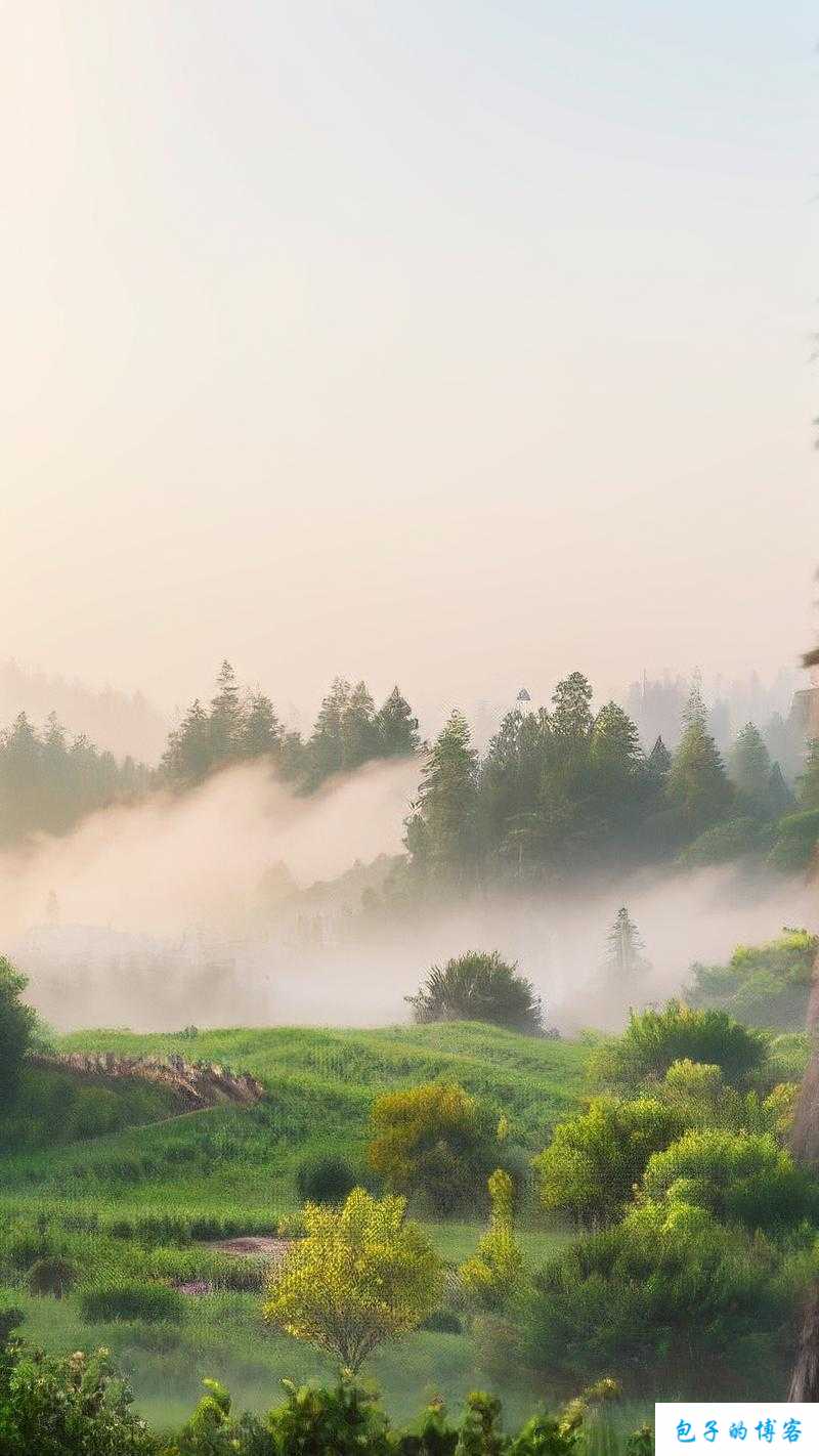 婉儿的秘密花园：探索心灵的绿洲