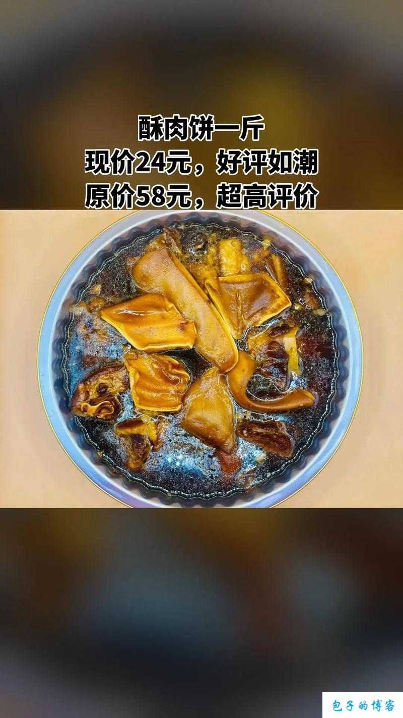 萧氏四兄弟的美酥肉饼96好吃不贵 平价美味的选择