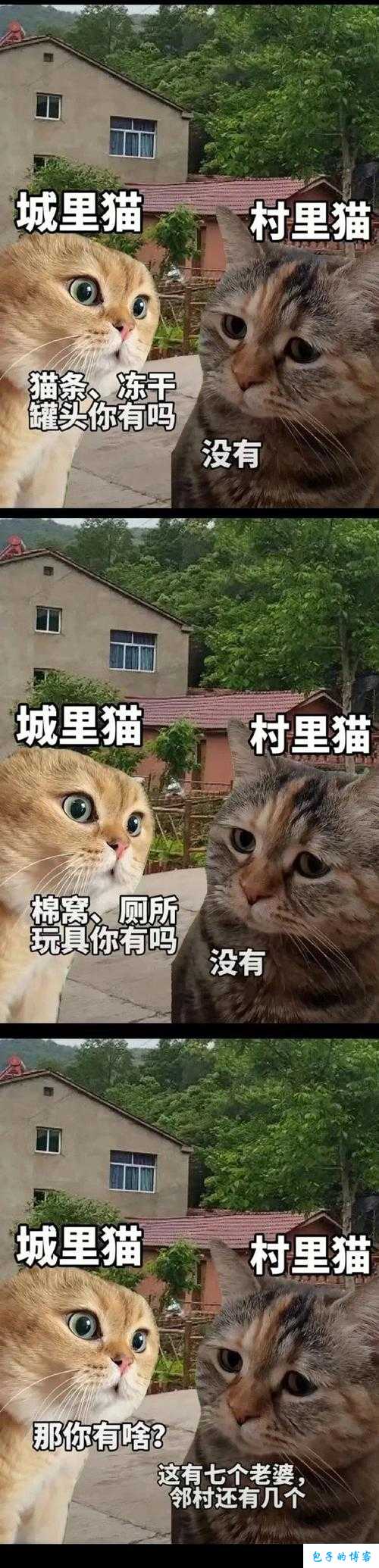 解析猫之城中企鹅冰山：技能特性与实力全揭秘