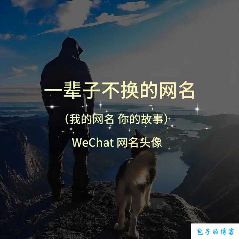 新版猫咪地域网名入口下载全面升级体验