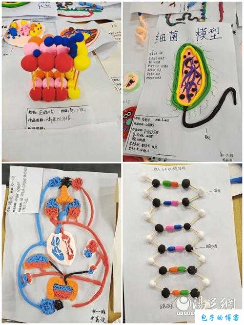 我成了生物课的教具篇1：奇妙的生物实验室体验