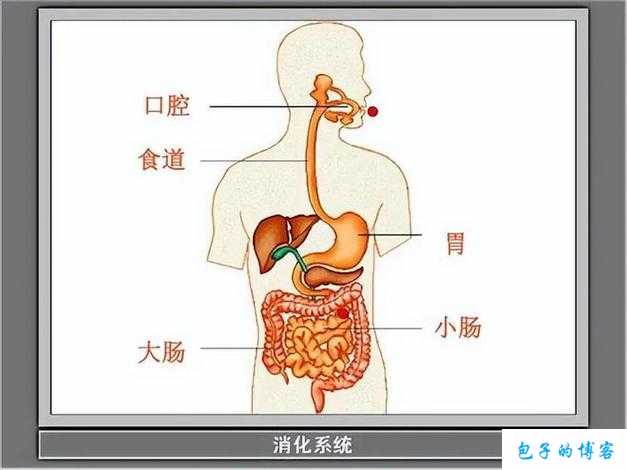 中国小伙子GayFucKSex的奇妙旅程