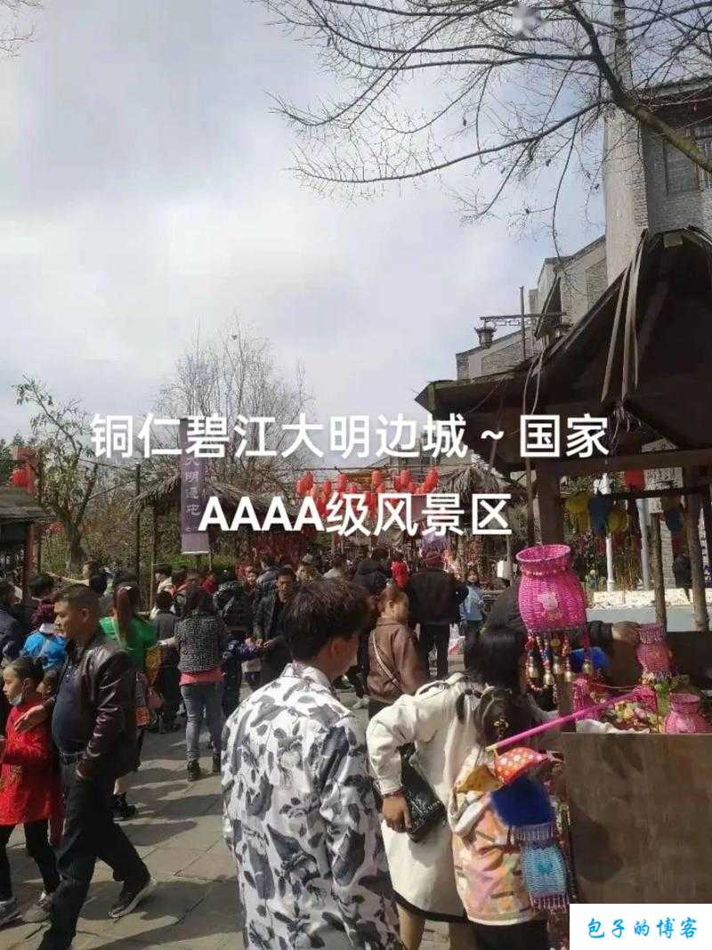 AAAA级和AAAA级怎么标的详细解析与应用指南