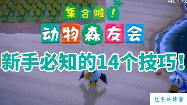 集合啦动物森友会工具升级的实用技巧与途径