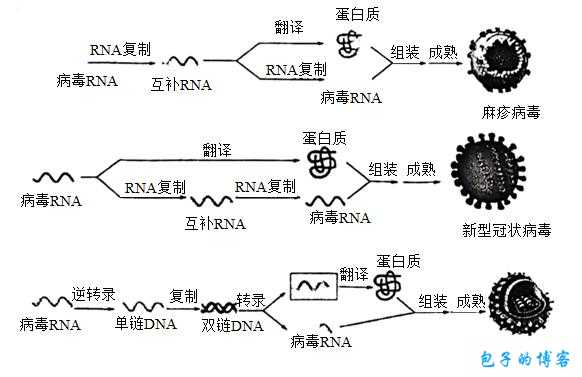 剑影星辉下的选择——群星之幕点发攻略与推荐选择中心法则