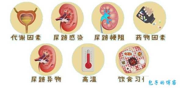 胡桃尿出白色脓状，警惕疾病风险